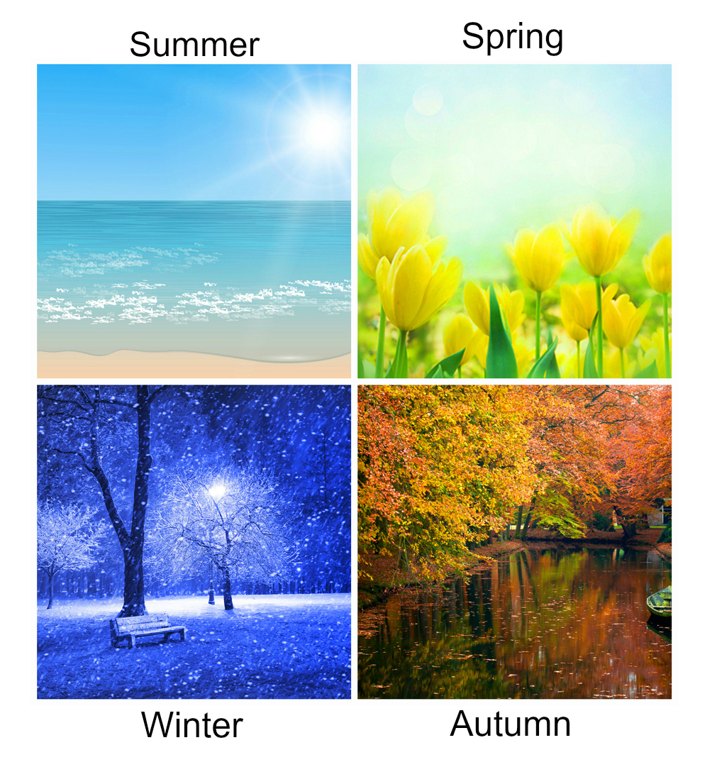 4 Season Color Theory Is Where Everything Begins